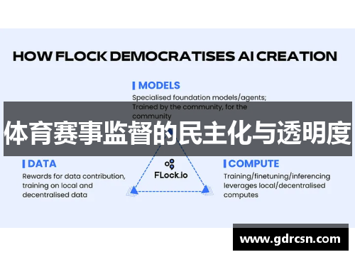 体育赛事监督的民主化与透明度